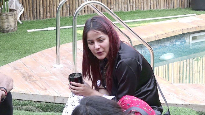 Watch Shehnaz S Favourite Ex Housemates Video Online Hd On Jiocinema