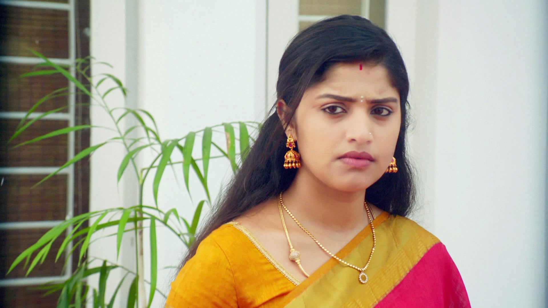 Watch Thirumanam Season 1 Episode 107 Janani Lies To Santhosh