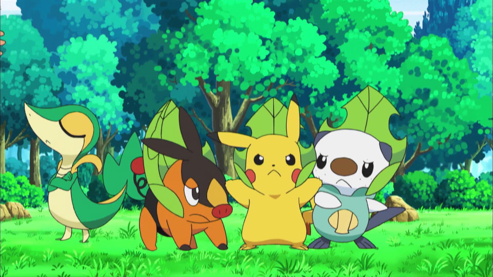 Watch Pokemon Season 15 Episode 26 Battling The Leaf Thieves Watch