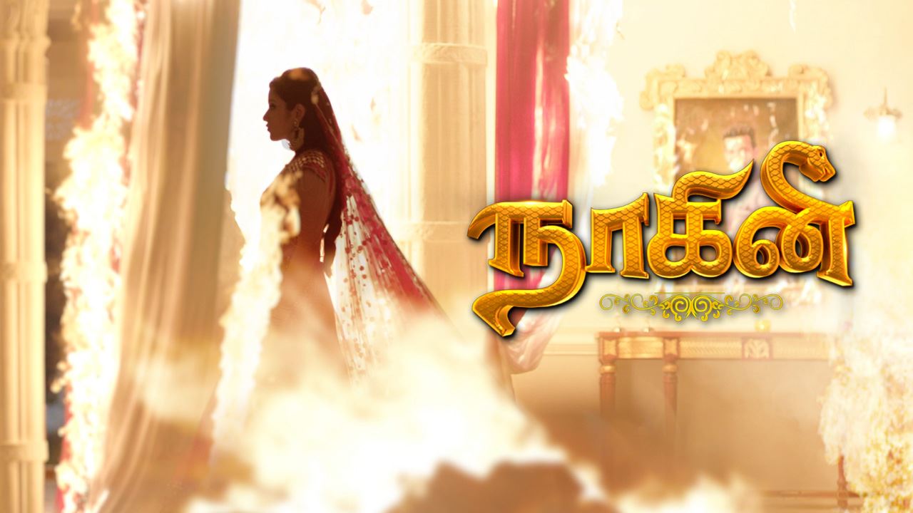 Naagini Tamil Watch Naagini Tamil Serial All Latest Seasons Full Episodes And Videos Online On Voot To watch the full episode of 'naagin 4 (bengali)' anytime, download the #voot app now or visit. voot