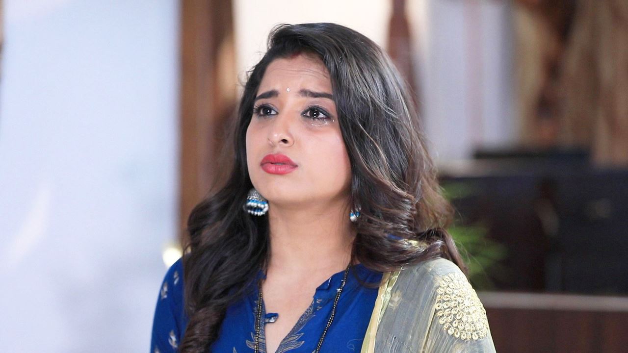 Watch Raja Rani Season 1 Episode 354 Telecasted On 02102019 Online