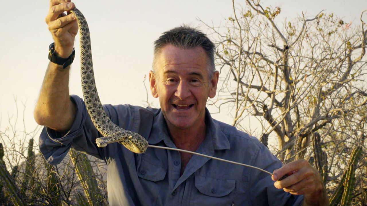 Watch NIGEL MARVEN: TEN DEADLIEST SNAKES Season 3 Episode 3 Telecasted ...