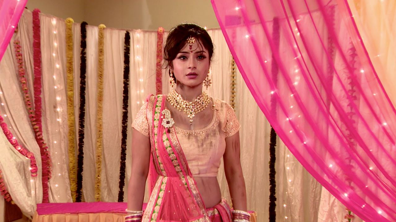 Watch Shastri Sisters Season 1 Episode 316 Telecasted On 24 07 2015 Online Shastri sisters serial lead cast exclusive interview. watch shastri sisters season 1 episode 316 telecasted on 24 07 2015 online