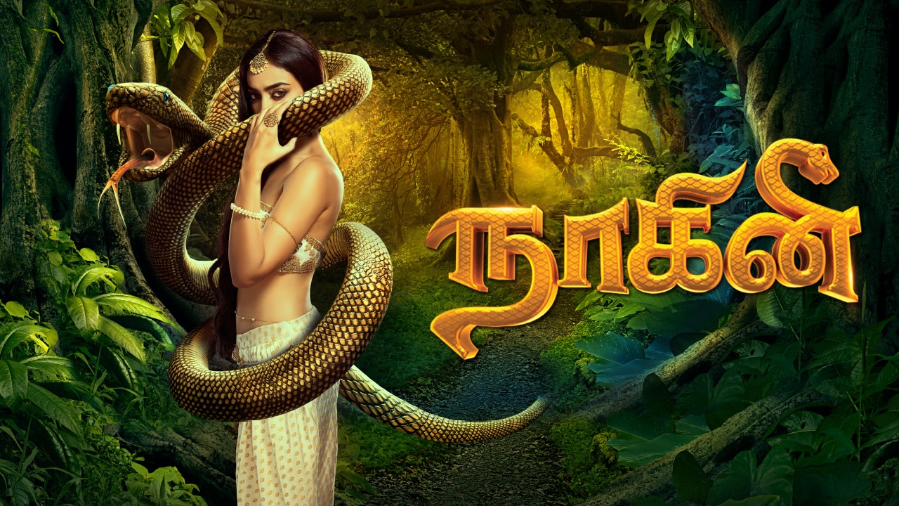 Naagini Serial Nagini In Tamil Voot Naagin Naagini Kannada Serial