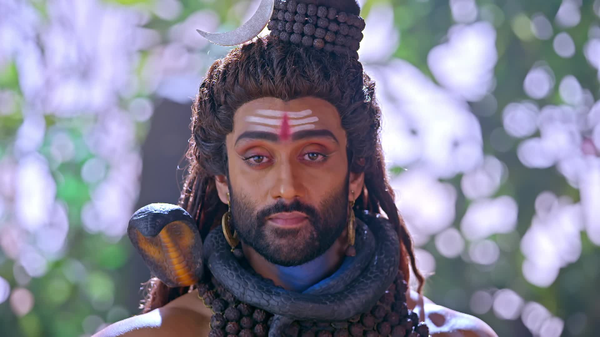 Watch shiv shakti season 1 episode 382 shiva to convince parvati
