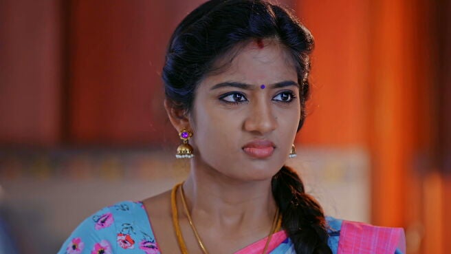 Watch Idhayathai Thirudathey Season 1 Episode 97 : Will Sahana Accept ...