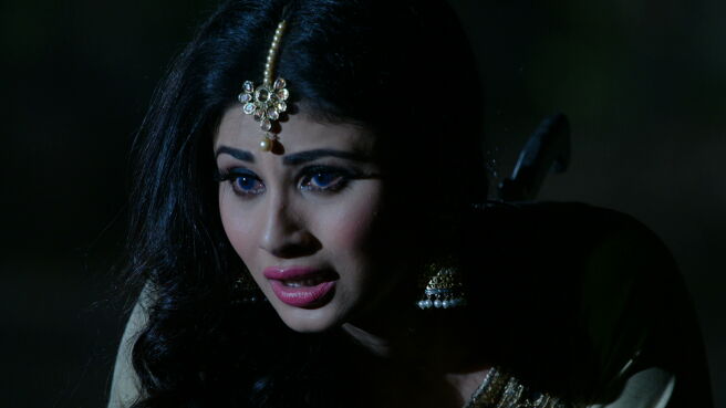 Watch Naagin Season 1 Episode 27 : Shivanya Is Stabbed - Watch Full ...