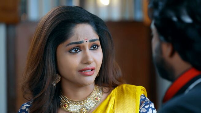 Watch Enga Veetu Meenakshi Season 1 Episode 73 : Meenakshi Comes To See ...