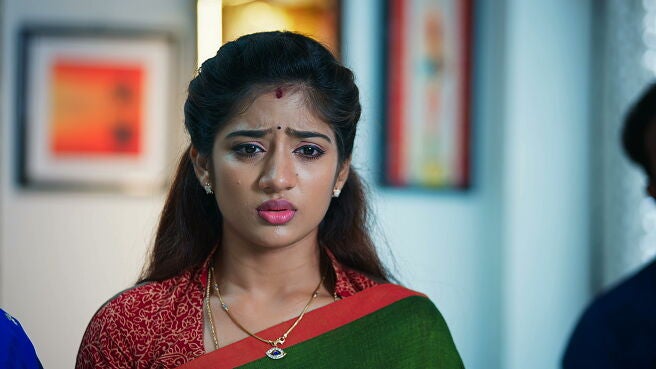 Watch Idhayathai Thirudathey Season 1 Episode 1088 : Sahana Suspects ...