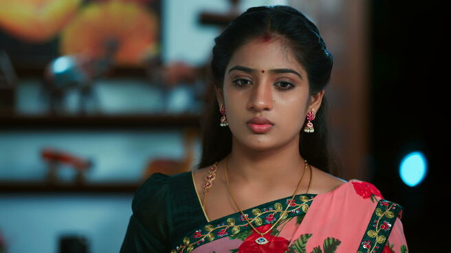 Watch Idhayathai Thirudathey Season 1 Episode 190 : Sahana’s Surprise ...