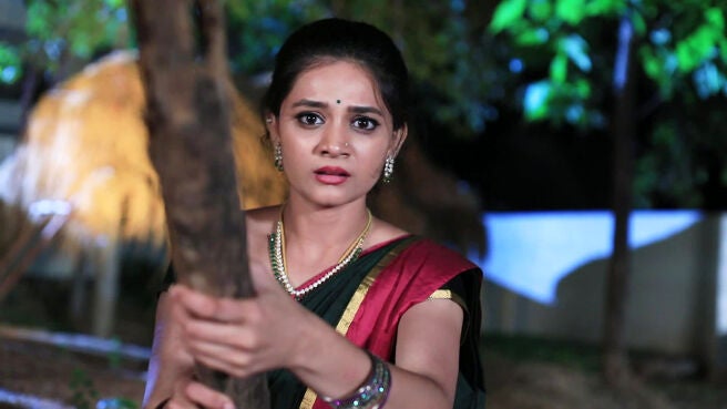 Watch Nammane Yuvarani Season 1 Episode 713 : Neela Knocks Puttaswamy ...