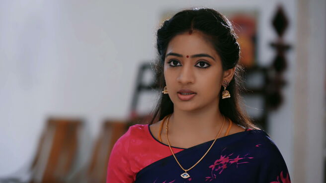 Watch Idhayathai Thirudathey Season 1 Episode 100 : Will Sahana Fulfill ...