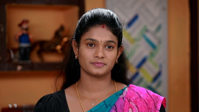 Watch Valli Thirumanam Season 1 Episode 275 : Valli Retrieves All The ...