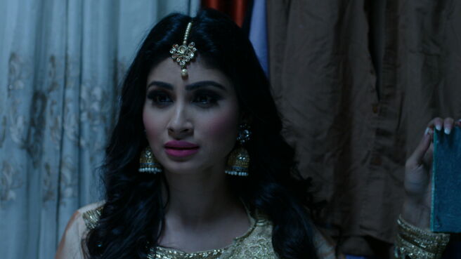 Watch Naagin Season 1 Episode 52 : Shivanya Brings Ritik Back To Life ...