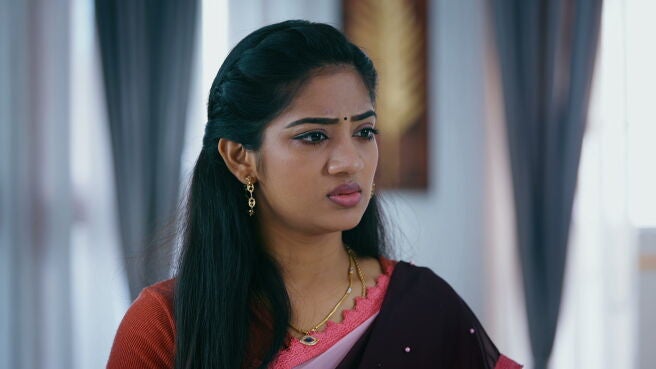 Watch Idhayathai Thirudathey Season 1 Episode 927 : Vedhavalli Argues ...