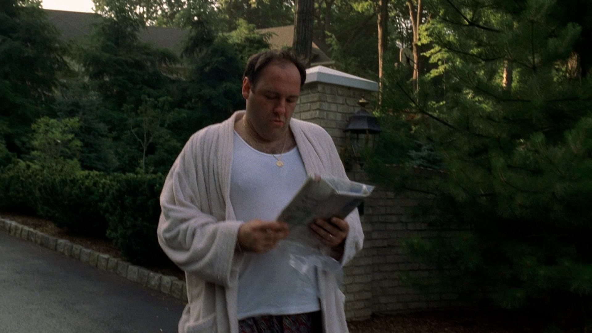 The Sopranos Watch Season 2 Episode 1 Guy Walks Into a Psychiatrist s Office on JioCinema