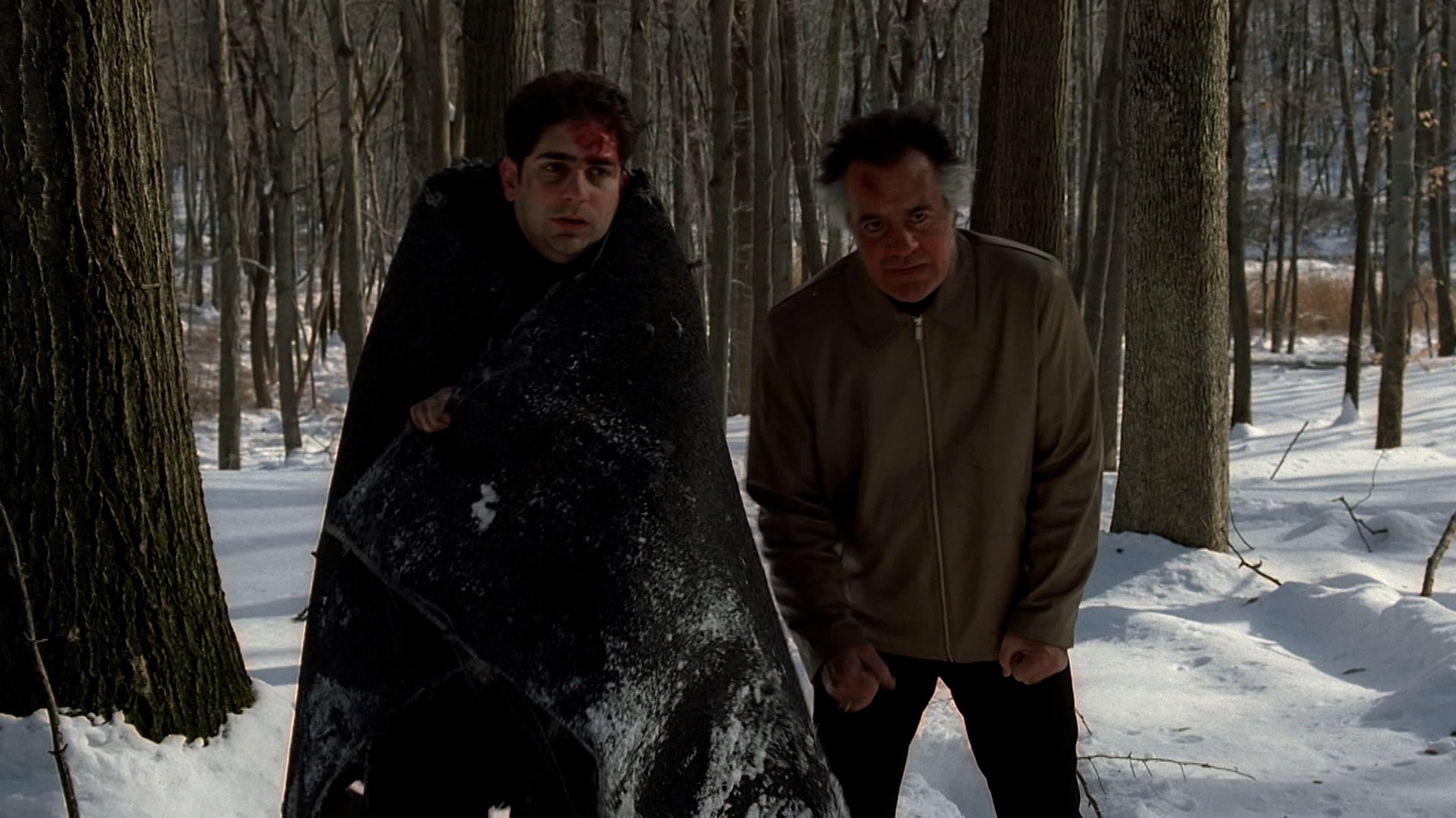 Watch The Sopranos Season 3 Episode 11 : Pine Barrens - Watch Full ...