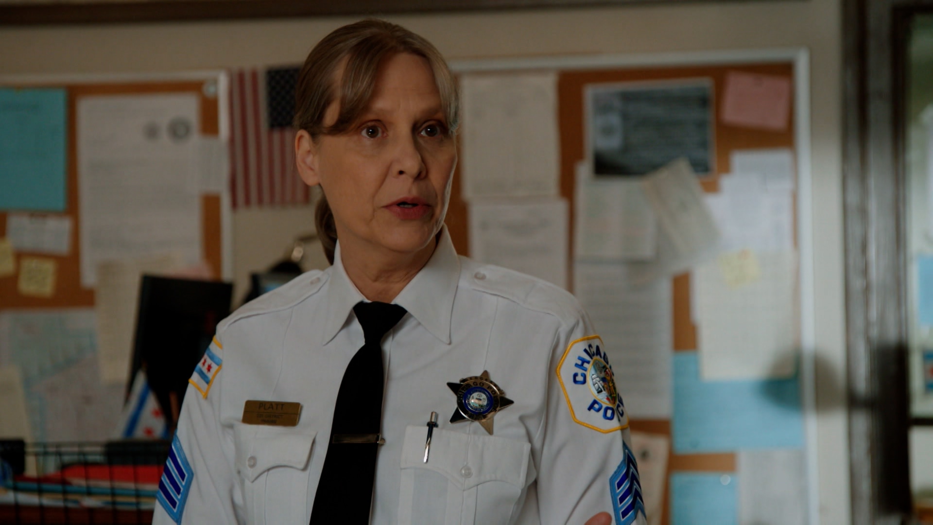Watch Chicago P.D. Season 2 Episode 8 : Assignment Of The Year - Watch ...