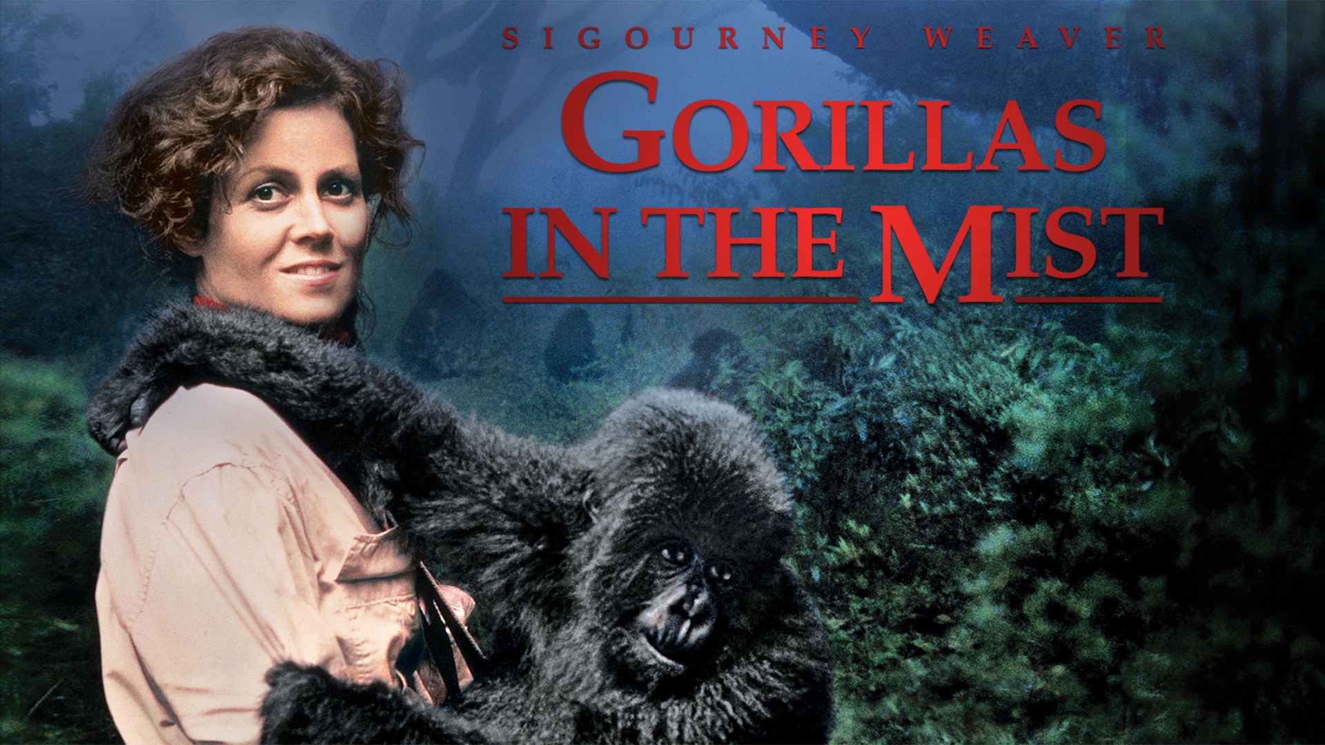 Gorillas In The Mist Movie