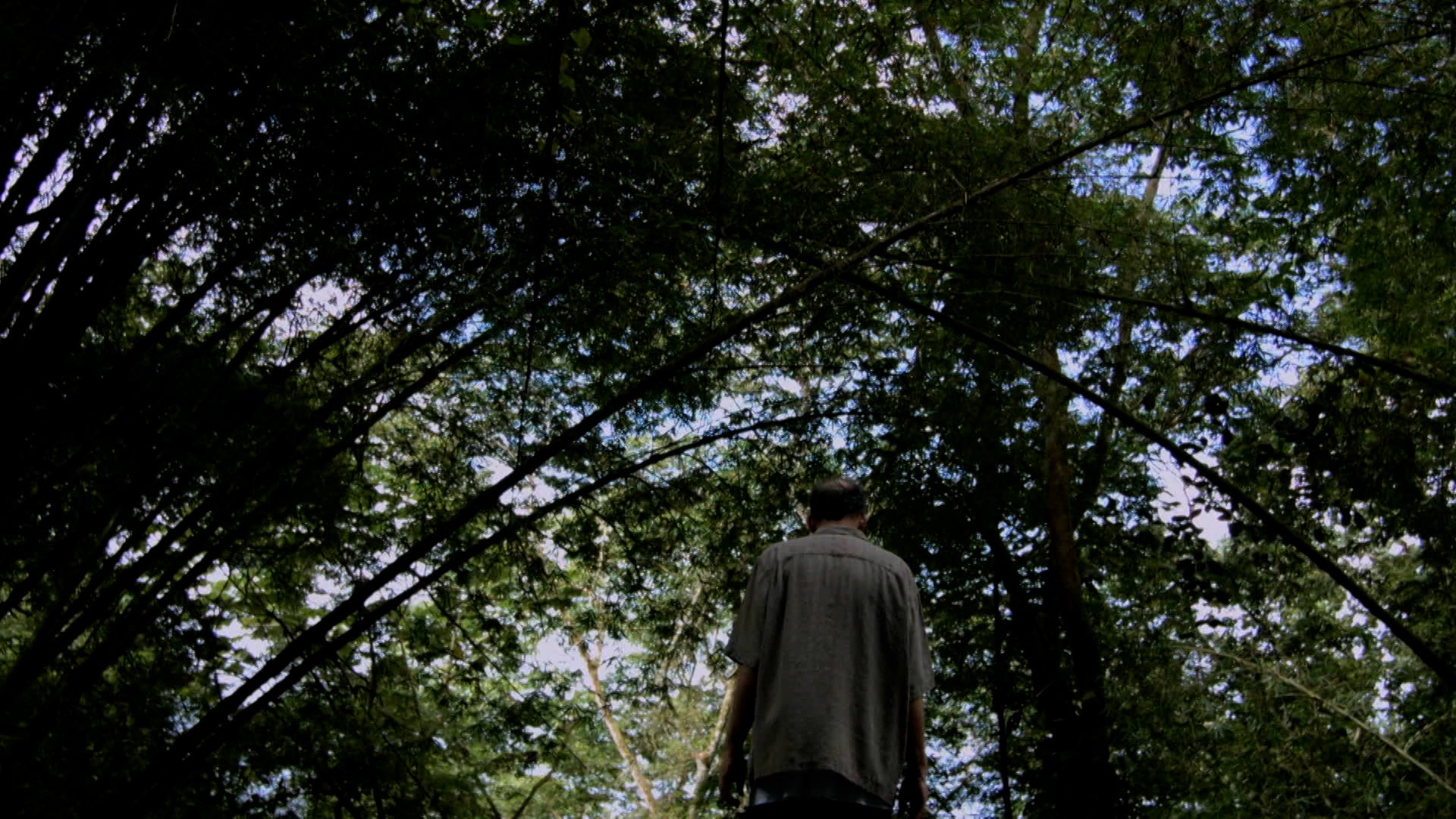 Watch Painting With John Season 1 Episode 1 Bob Ross Was Wrong Watch Full Episode Online(HD