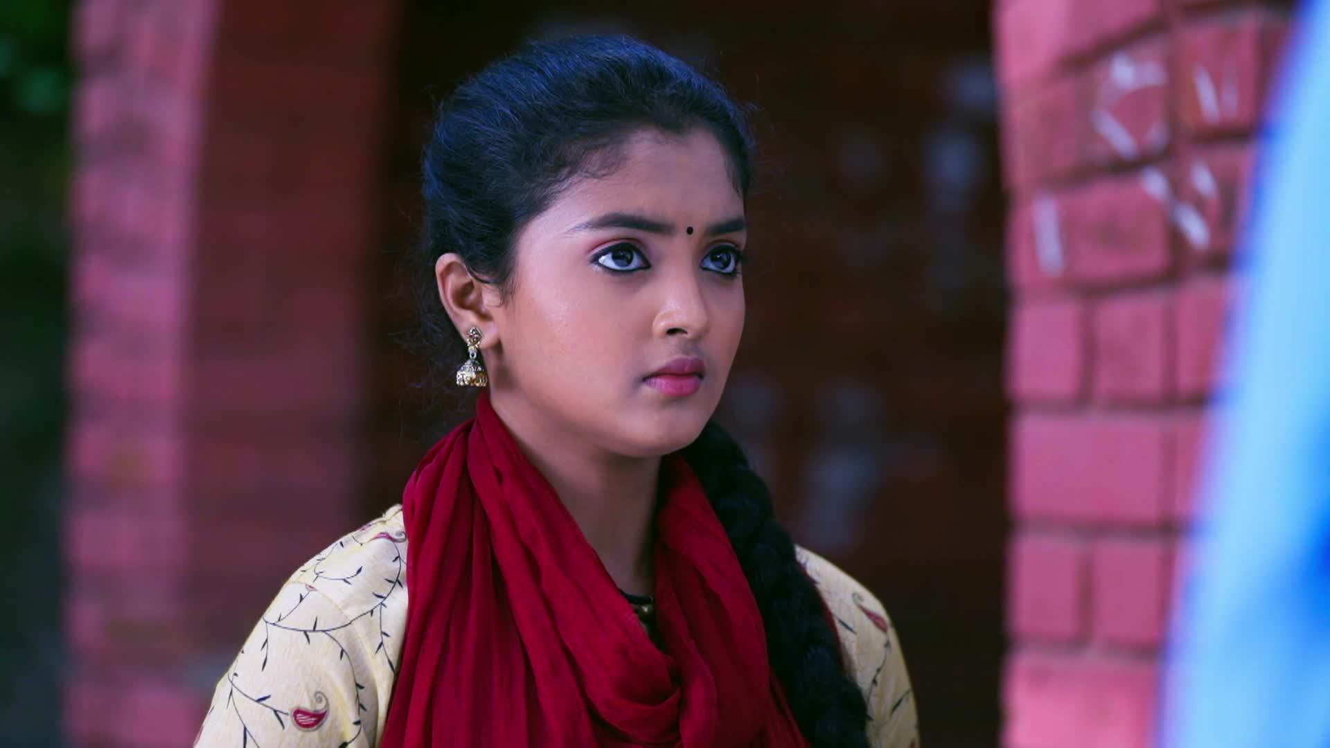 Watch Bhagyalakshmi Season 1 Episode 17 : Lakshmi Takes A Decision ...