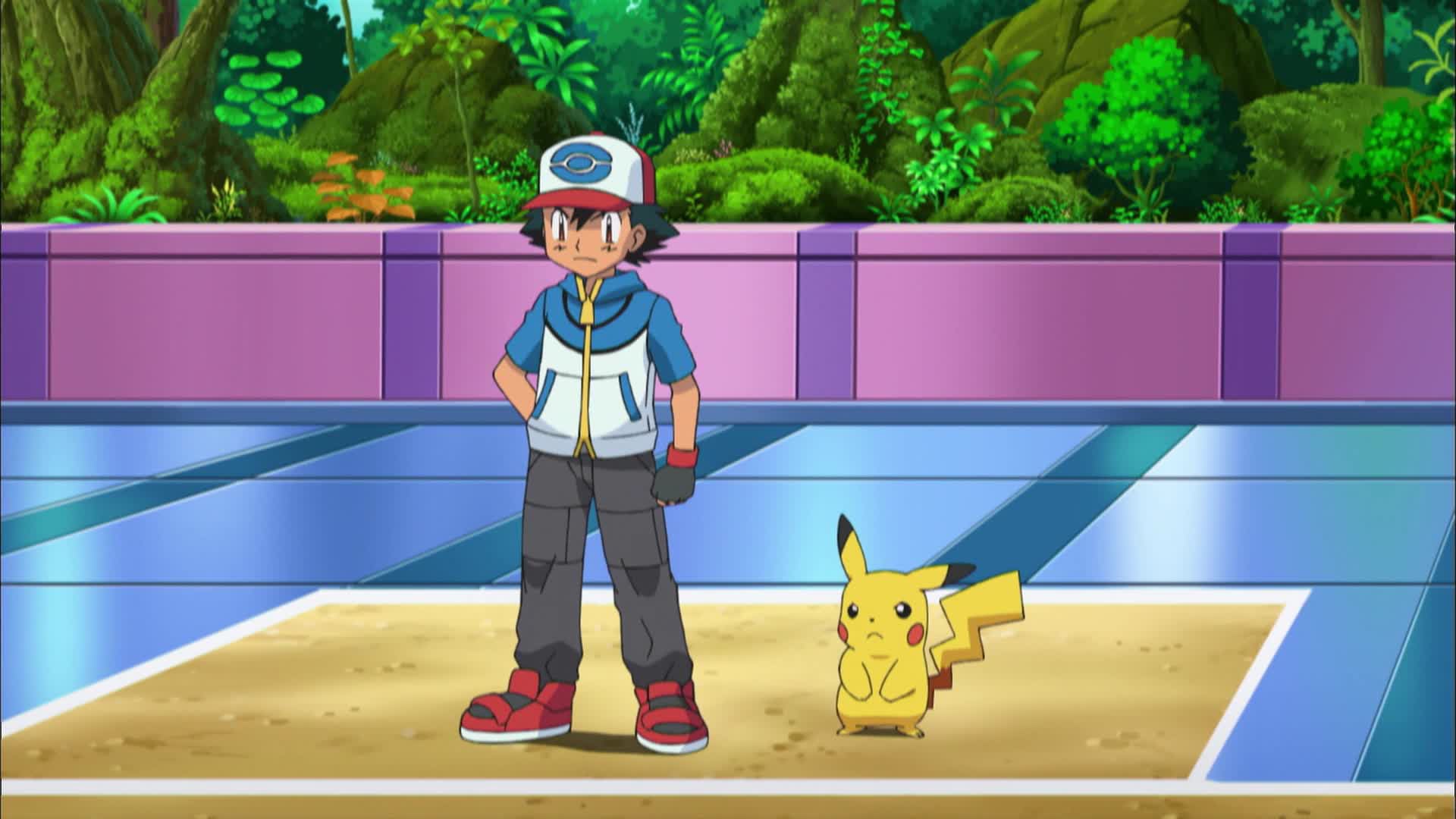 Watch Pokemon Season 14 Episode 23 Battling For The Love Of Bug Types Watch Full Episode 5549