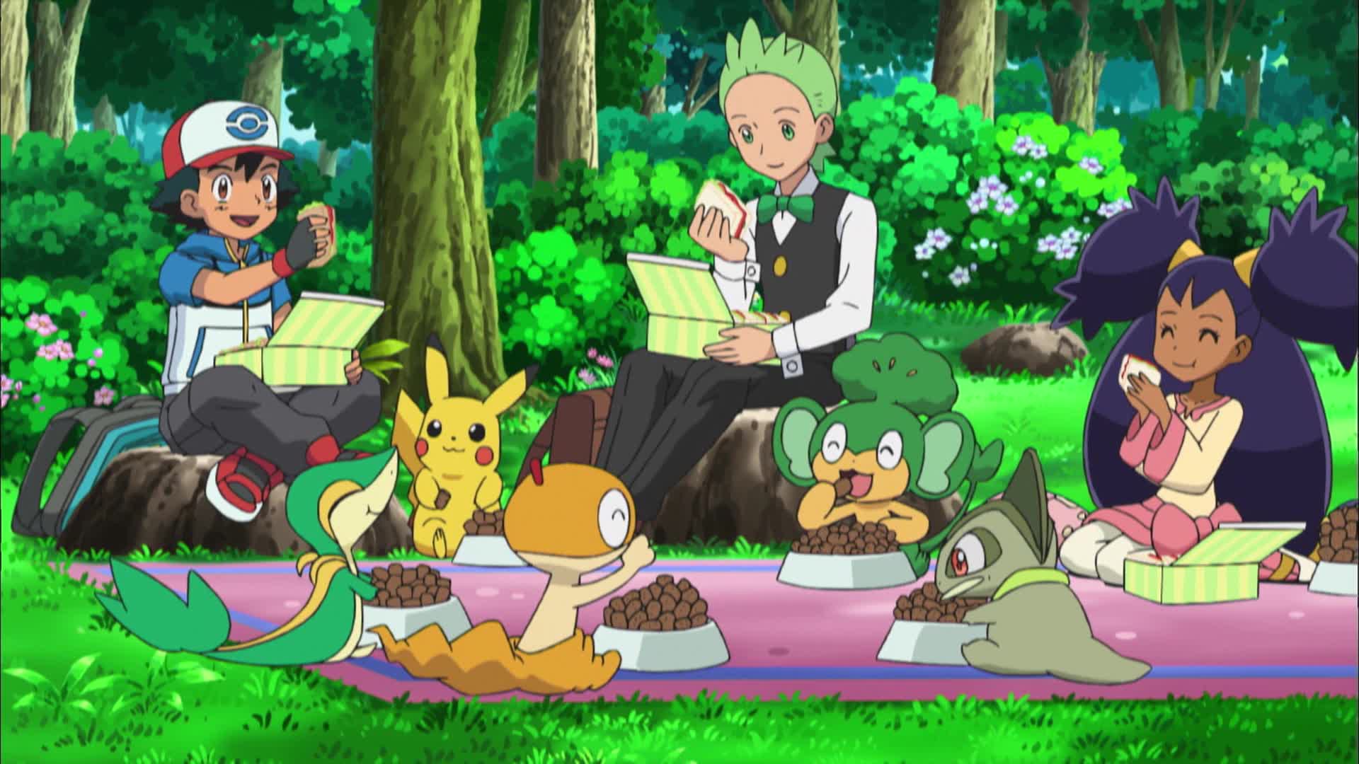 Pokemon TV Show: Watch All Seasons, Full Episodes & Videos Online