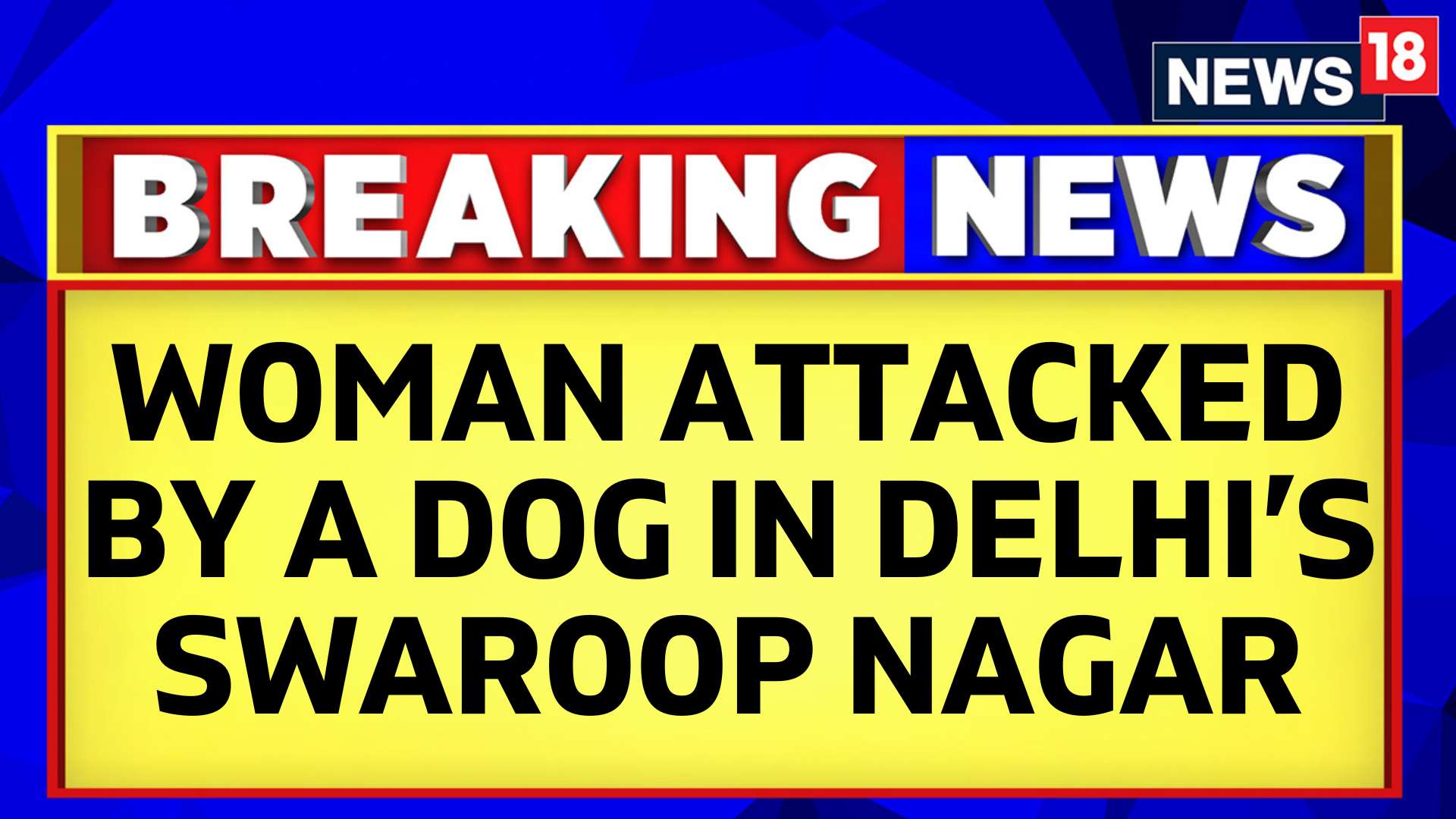 Watch Woman Attacked By A Dog In Delhi's Swaroop Nagar News On JioCinema