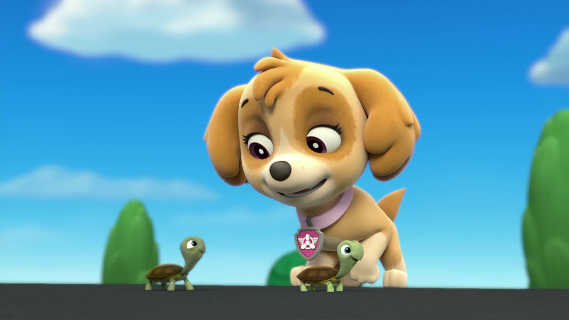 Watch Paw Patrol Season 1 Episode 41 : Pups And The Trouble With ...