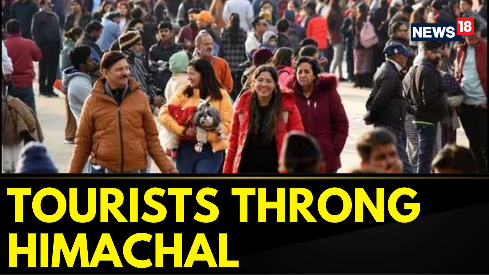 Watch Thousands Of Tourists Throng Himachal Pradesh During The Long