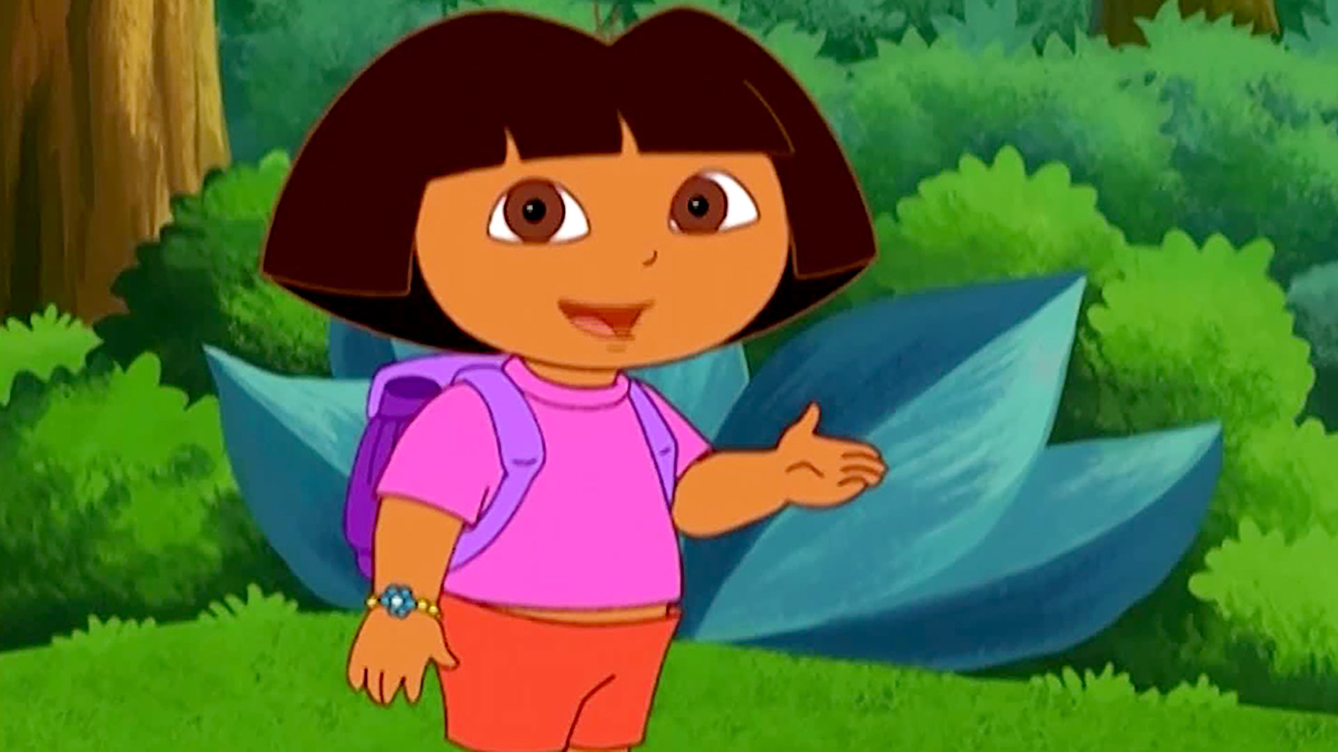 Watch Dora The Explorer Season 2 Episode 20 Hide And Go Seek Watch