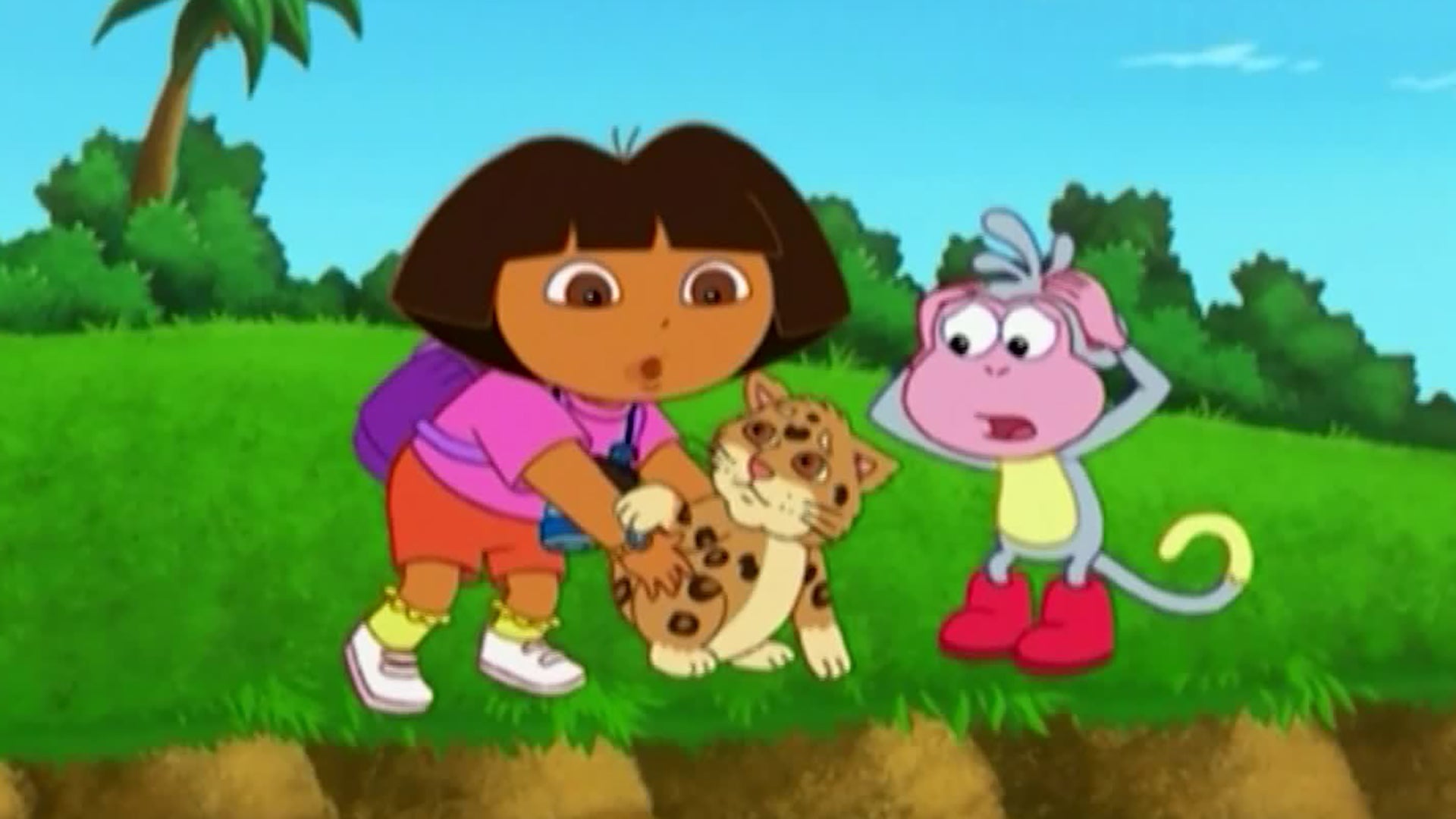 Watch Dora The Explorer Season 3 Episode 17 : Rescue, Rescue, Rescue ...