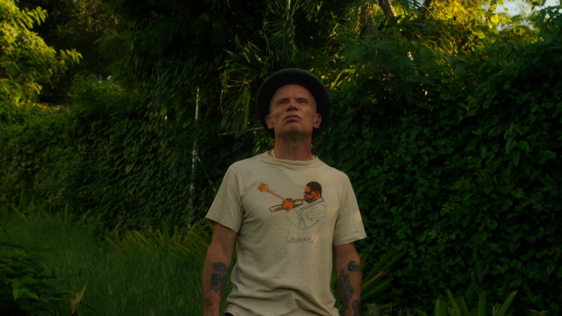 Watch Painting With John Season 3 Episode 2 Potato Watch Full