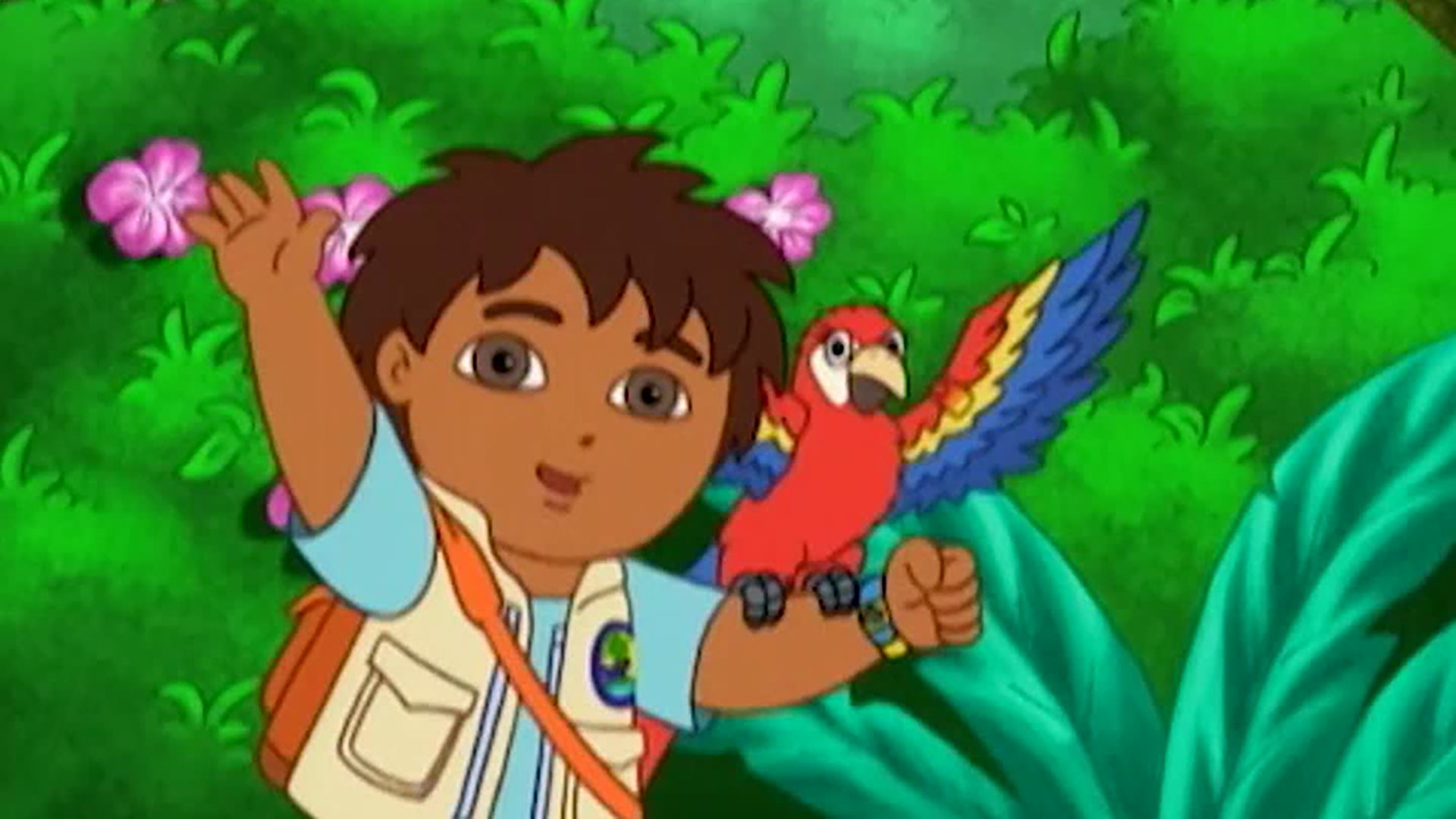 Watch Go, Diego, Go! Season 1 Episode 5 : The Mommy Macaw - Watch Full ...