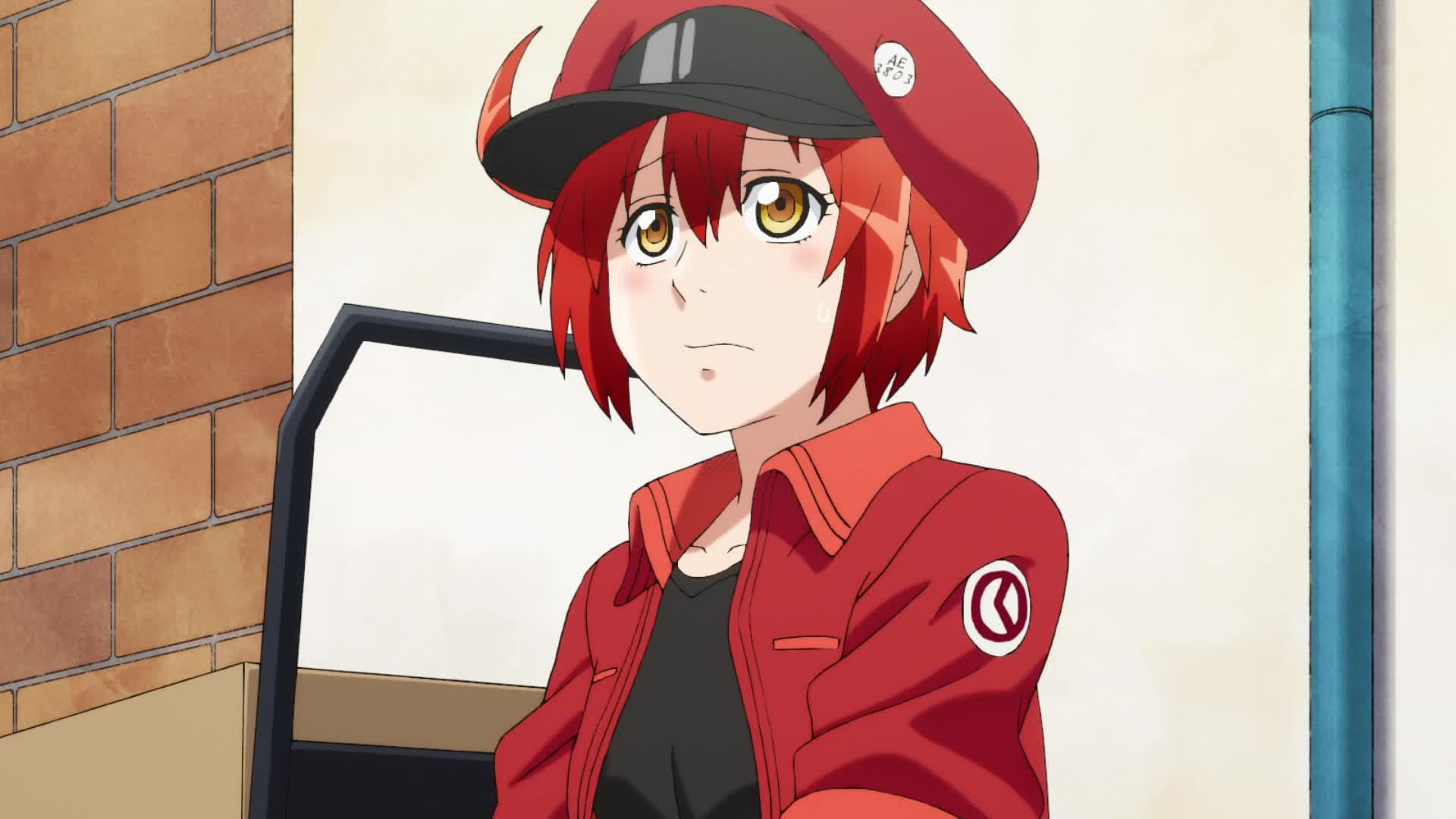 Watch Cells At Work! Season 1 Episode 8 : Blood Circulation - Watch