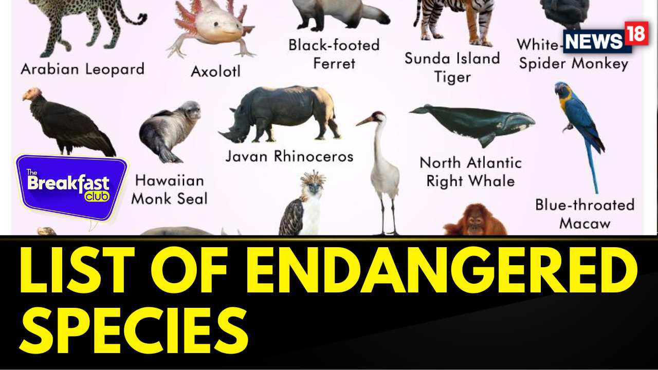 Watch National Endangered Species Day 2024 Here