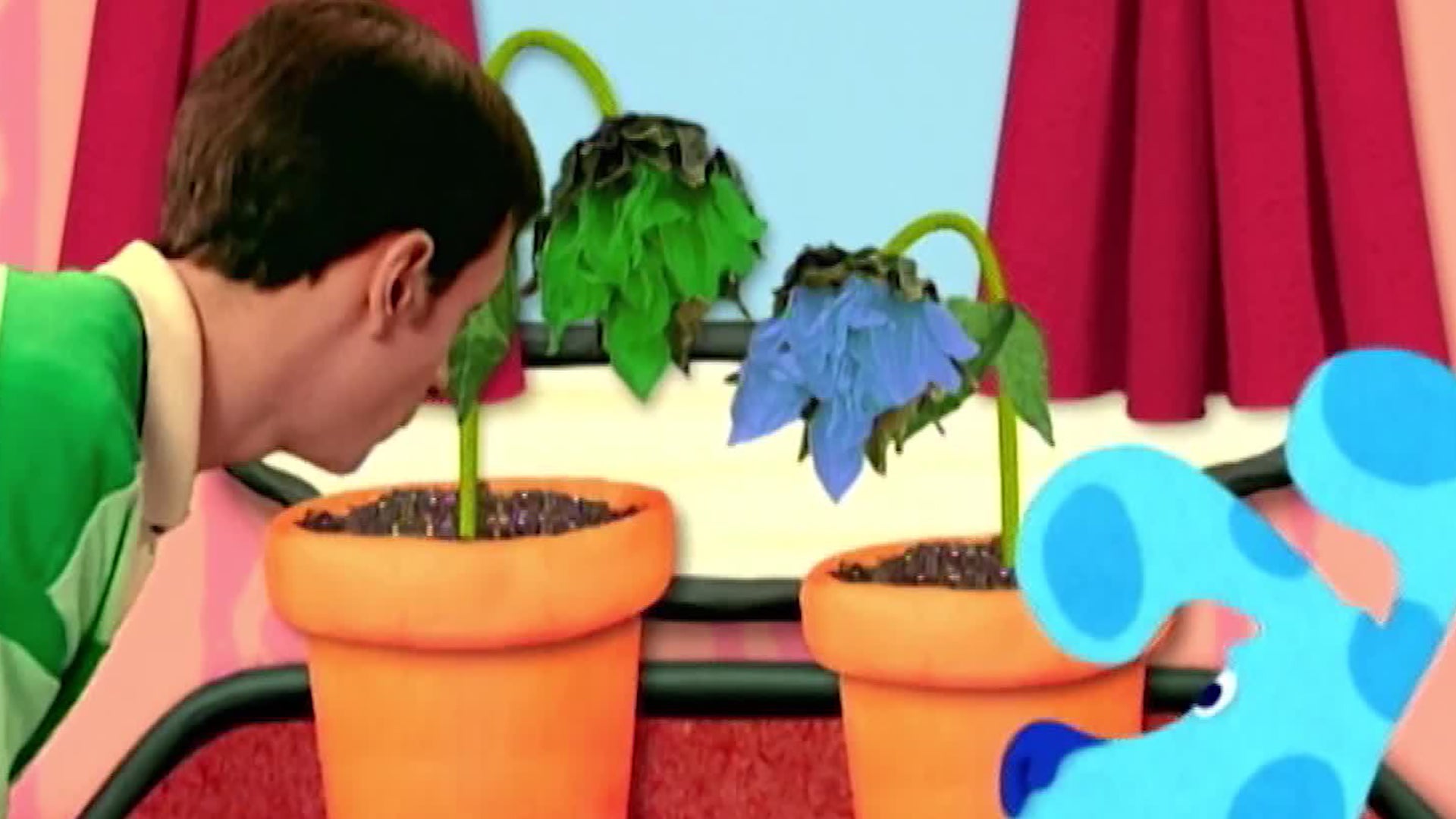 Watch Blue's Clues Season 2 Episode 17 : Nurture - Watch Full Episode ...