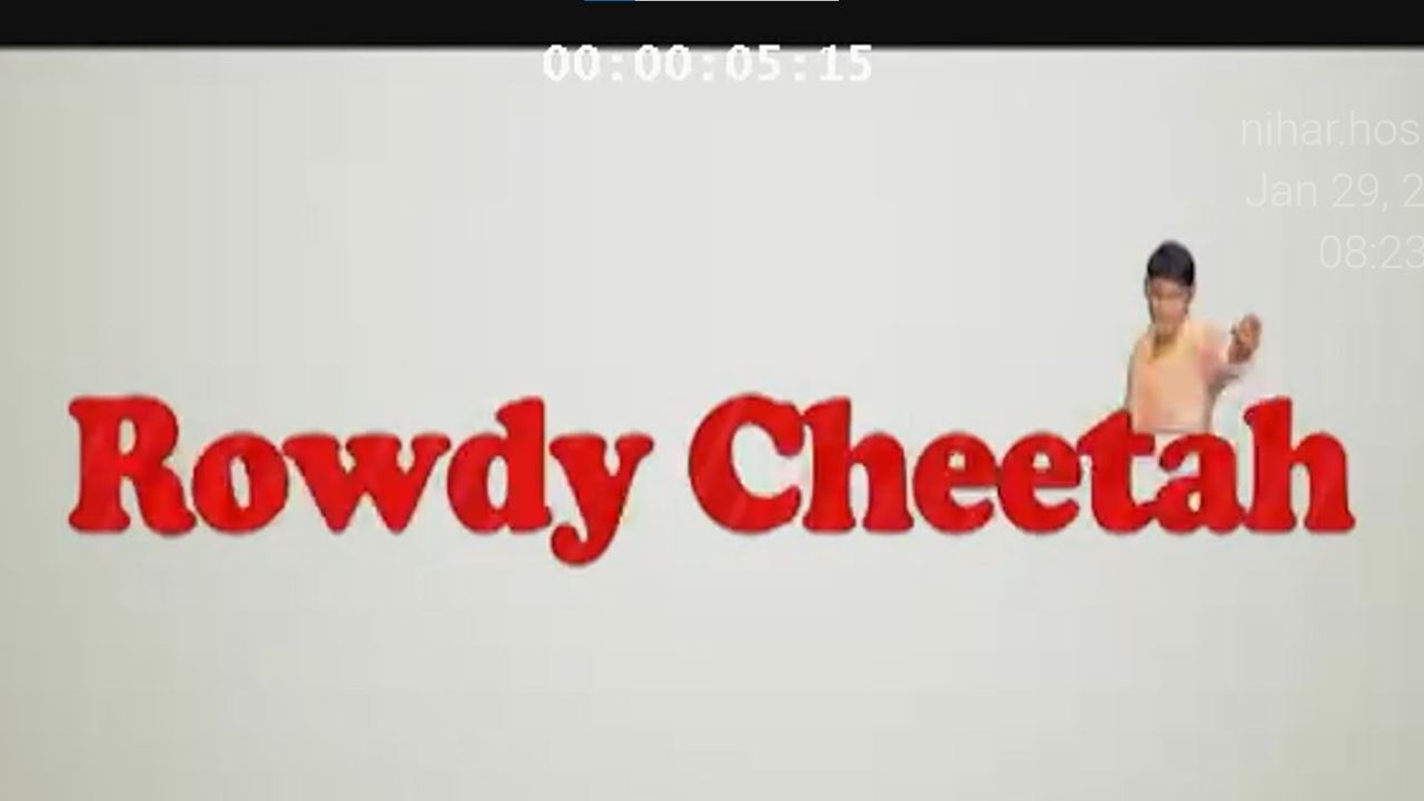 Rowdy Cheetah