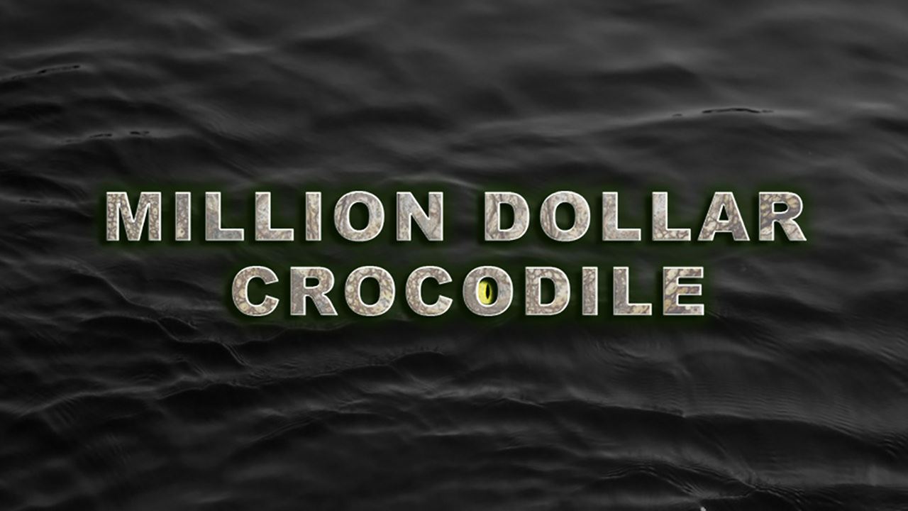 Million Dollor Crocodile