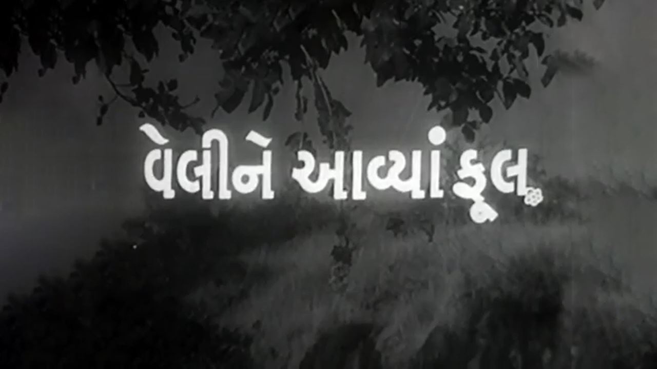 Veli Ne Aavya Phool