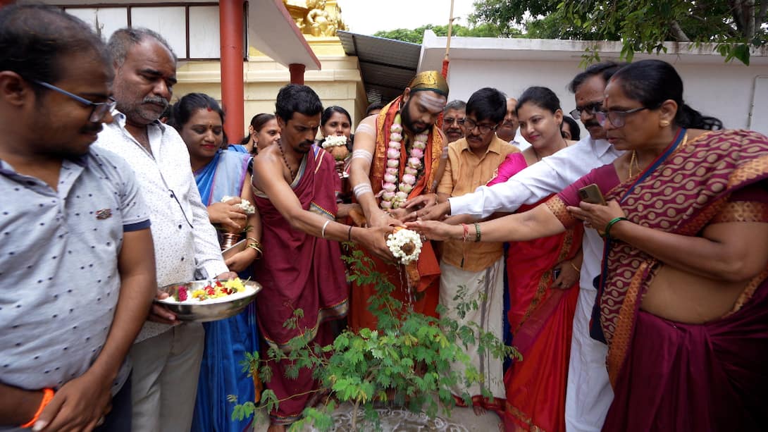 Guruji planting banni plat in temple premises