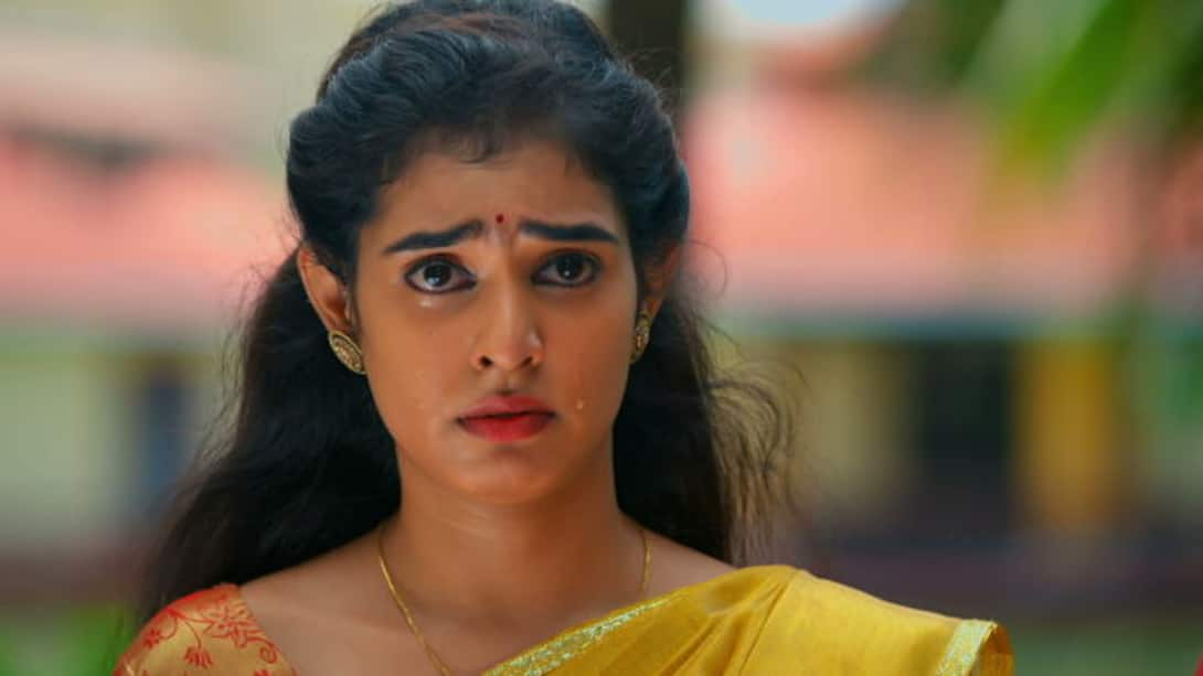 Watch Idhayathai Thirudathey Season 1 Episode 517 : Sangeetha Is ...