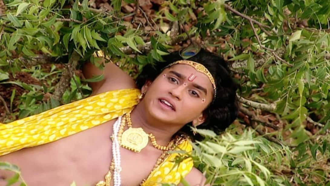 Watch Devaki Nandana Season 1 Episode 158 : Krishna Falls Off The Tree ...