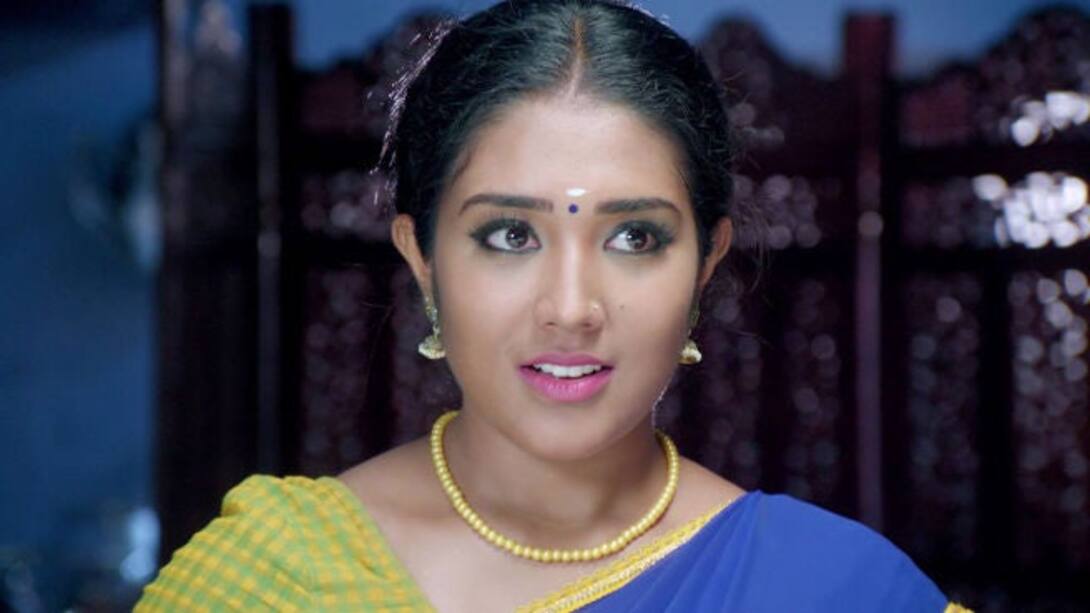 Watch Thari Season 1 Episode 71 Happy News For Annam Watch Full 
