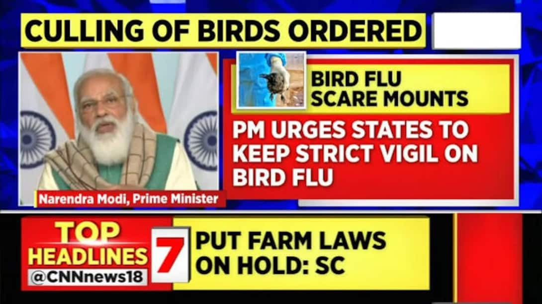 Watch PM Modi Assures Assistance To States Amid Bird Flu Outbreak Video