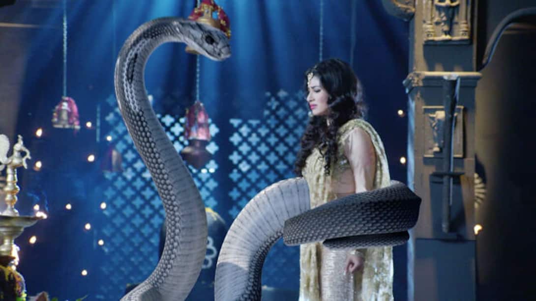 Shivanya confronts Sesha