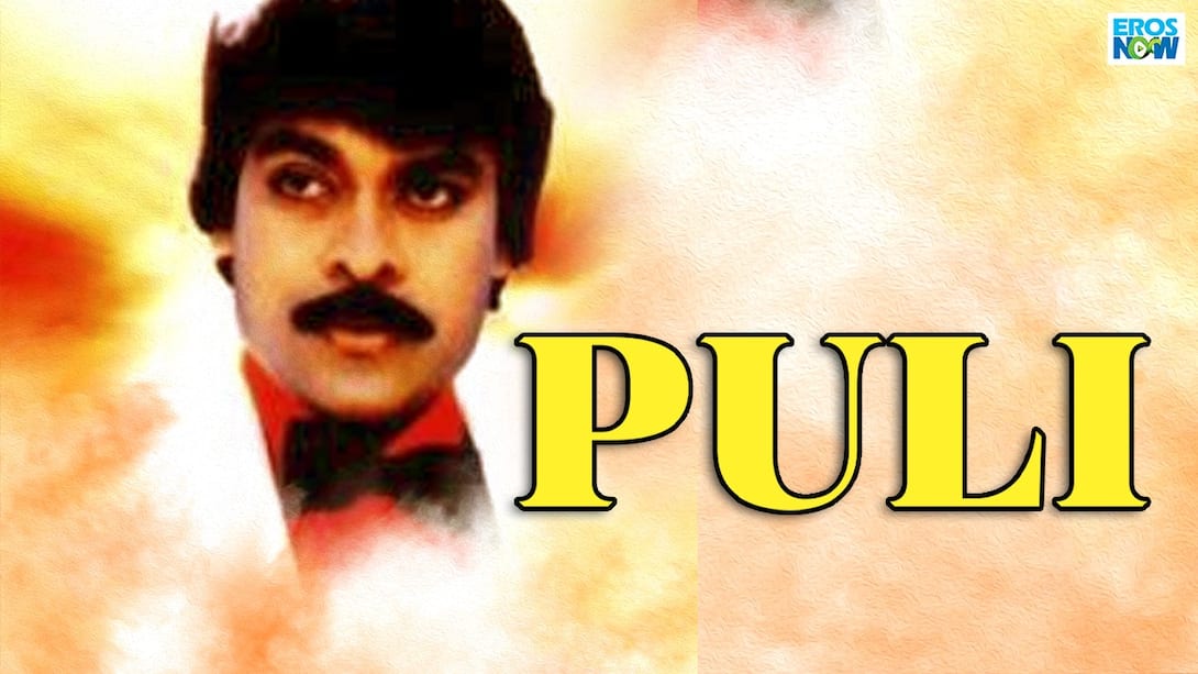 Puli