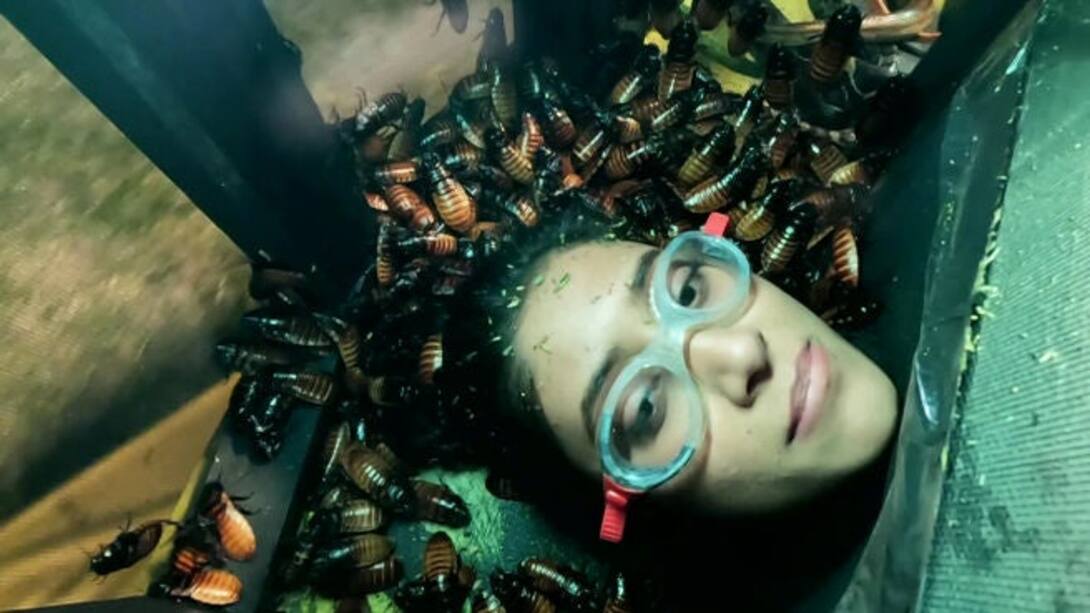 A deadly stunt for Shivangi!