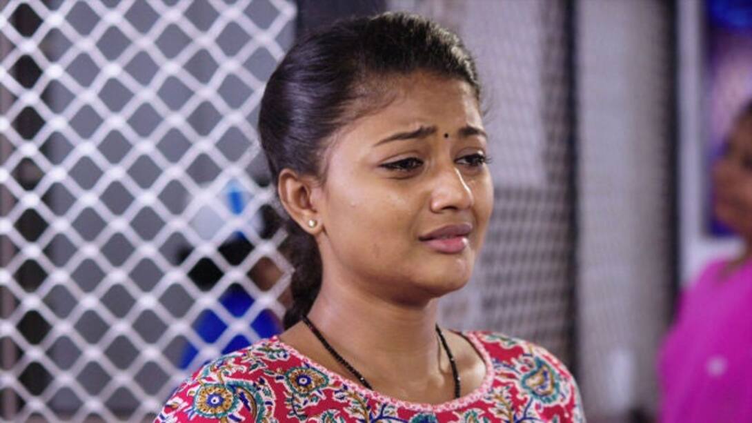 Watch Oviya Season 1 Episode 91 : Double Trouble For Oviya - Watch Full ...