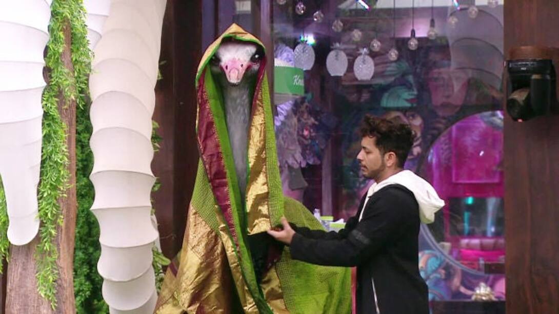 Nishant dresses up the ostrich